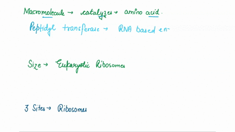 5-the-ribosomes-are-composed-of-two-subunits-large-and-small-that-are-composed-of-proteins-and-rna-rrna-which-macromolecule-catalyzes-formation-of-the-bond-between-amino-acid-peptide-bond-in-21207