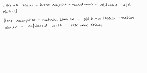 art-based-questionbone-tissuequestion-26-b-during-bone-growth-which-significant-event-occurs-at-the-surface-indicated-by-the-letter-d-bone-resorption-production-of-hyaline-cartilage-intersti-83026