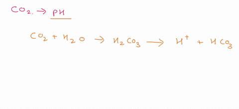 explain-how-co2-is-related-to-ph-and-how-decreases-in-respiration-will-change-ph-in-body-08942