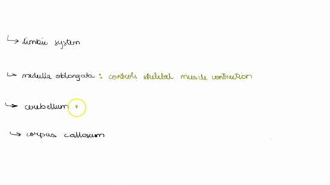 which-of-the-following-structures-or-regions-is-incorrectly-paired-with-its-function-limbic-system-generation-and-experience-of-emotion-medulla-oblongata-control-of-skeletal-muscle-contracti-34445