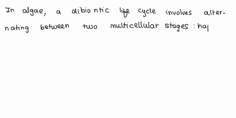 in-algae-what-is-a-dibiontic-life-cycle-85224