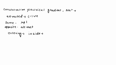 in-rushing-sodium-ions-trigger-the-opening-of-nearby-channels-and-the-movement-of-sodium-inward-at-a-neighboring-section-of-the-membrane-what-is-occurring-a-normal-resting-potential-b-an-act-73397