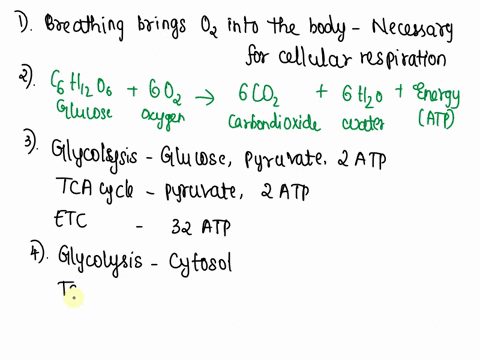 chapter-6-explain-how-breathing-and-cellular-respiration-are-related-what-is-the-overall-chemical-cquation-for-cellular-respiration-compare-the-reactants-products-and-energy-yield-of-the-thr-76766