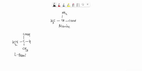 suggest-the-form-of-l-alanine-sidechain-r-ch3-at-low-ph-of-around-1-draw-the-molecule-as-a-fischer-projection-please-draw-the-structure-clearly-80122