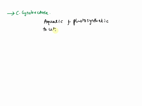 carry-out-oxygen-releasing-photosynthesis-a-spirochetes-c-cyanobacteria-b-chlamydias-d-proteobacteria-43437