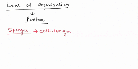 identify-the-level-of-organization-for-this-organism-multicellular-tissues-organs-organ-system-94617