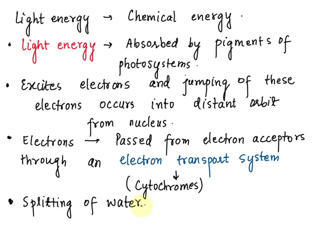 how is light energy converted into chemical energy during photosynthesis simple