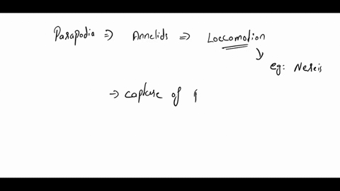 phylum-nematoda-and-phylum-annelida-qeuestions-1-parapodia-have-been-modified-through-evolution-for-a-variety-of-functions-give-two-functions-of-parapodia-in-polychaetes-and-the-lifestyles-a-11994