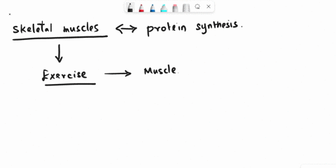 skeletal-muscle-cells-need-large-numbers-of-_______-to-make-the-many-proteins-they-contain-a-centrosomes-b-lysosomes-c-ribosomes-d-liposomes-e-peroxisomes-72392