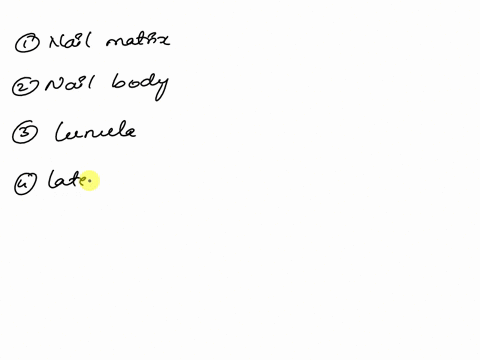label-tho-followirnailymatrixvill-use-his-one-lwice-nail-body-lunula-lateral-ald-free-edge-nail-bed-hyponychium-phalanx-nail-root-lobe-l-follo-j-iae-tl-follo-_-nail-matrix-32627