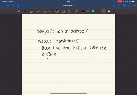 which-of-the-following-is-a-nonspecific-barrier-defense-antibodies-macrophages-mucous-membranes-natural-killer-cells-complements-07135