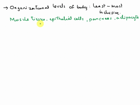 which-of-the-following-answers-lists-organizational-levels-of-the-body-from-the-least-to-the-most-inclusive-omuscle-tissueepithelial-cellspancreasadipocytes-skinhepatocyteepithelium-tissueco-05492