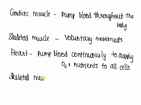 explain-why-it-is-important-for-cardiac-muscle-to-havelonger-lasting-contractions-than-skeletal-muscle-15533