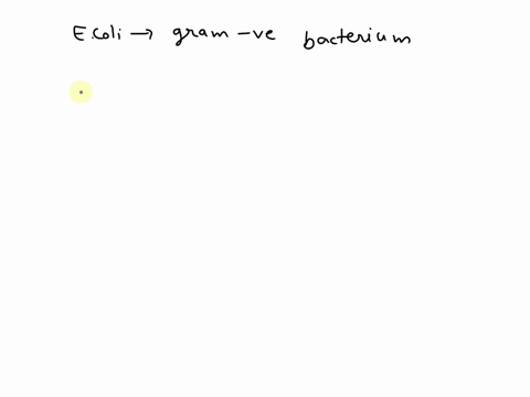 question-14-not-yet-answered-marked-out-of-250-flag-question-1-which-component-is-found-in-e-coli-a-gram-negative-bacterium-that-is-absent-in-gram-positive-bacteria-select-one-lipopolysaccha-20268