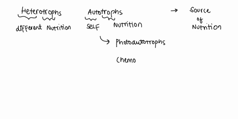 an-organism-classified-as-heterotroph-or-autotroph-based-on-the-type-of-respiration-source-eg-oxygen-or-other-it-utilizes_-nitrogen-source-carbon-source-d-none-of-the-above-40208