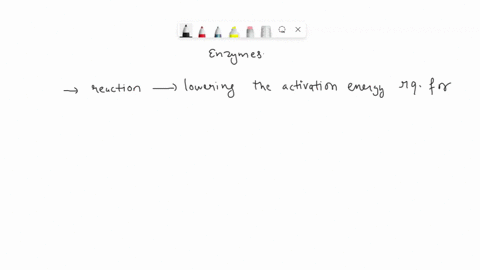 question-choose-the-ong-answer-that-lits-best-which-of-the-following-ragarding-enzymes-not-correci-enzymes-at-imeg-requlre-cofacicrs-enzyme-and-substrale-iorm-enzyma-substrato-comiplox-enzym-61784
