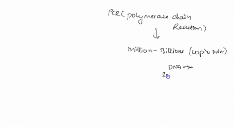 1-briefly-describe-how-pcr-polymerase-chain-reaction-works-and-how-the-results-are-visualized-2-identify-2-advantage-and-2-disadvantage-of-the-pcr-polymerase-chain-reaction-94408