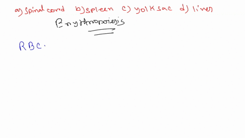 question-z4-during-fetal-development-red-blood-cells-are-made-in-all-ofthe-following-except-spinal-cord-lyolk-sac-liver-d-spleen-90168