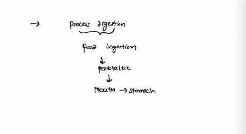 when-the-food-you-eat-encounters-the-gastric-juice-in-your-stomach-chemical-reactions-help-break-down-the-food-explain-what-you-think-happens-to-matter-such-as-a-food-when-it-undergoes-a-che-03012
