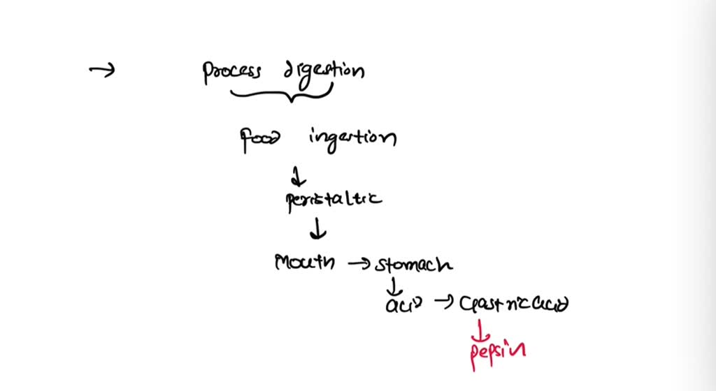 SOLVED When the food you eat encounters the gastric juice in your