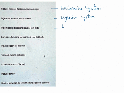 role-of-organ-systems-organ-systems-are-collections-of-organs-and-tissues-that-perform-a-general-function-for-the-bodymatch-the-following-descriptions-with-the-correct-organ-system-cardiovas-21714
