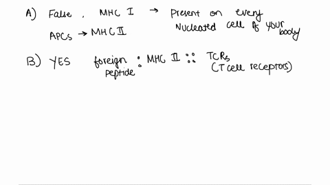1-which-of-the-following-statements-isare-correct-a-antigen-presenting-cells-do-not-possess-mhc-class-i-structures-b-antigen-presenting-cells-present-antigen-in-conjunction-with-mhc-class-ii-03082
