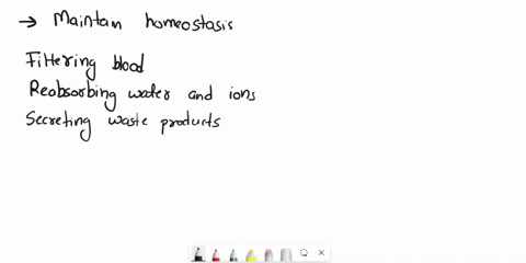 how-do-nephrons-regulate-the-water-and-ionic-balance-in-the-body-explain-in-detail-with-all-the-processes-please-help-98763
