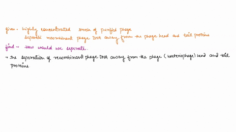once-you-had-obtained-a-highly-concentrated-stock-of-purified-phage-how-would-you-separate-the-recombinant-phage-dna-away-from-the-phage-head-and-tail-proteins-just-a-short-and-concise-answe-54363
