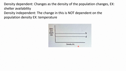 the-graph-below-shows-the-relation-between-birth-rate-b-and-population-density-and-death-rate-d-and-population-density-same-as-n-or-population-size-birth-and-death-rate-density-n-1-is-this-a-15368