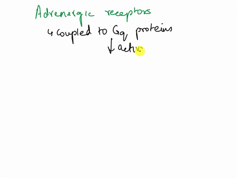 select-all-that-apply-what-terms-describe-a-type-of-receptor-that-causes-enzyme-activation-group-of-answer-choices-nicotinic-metabotropic-adrenergic-ionotropic-muscarinic-0559