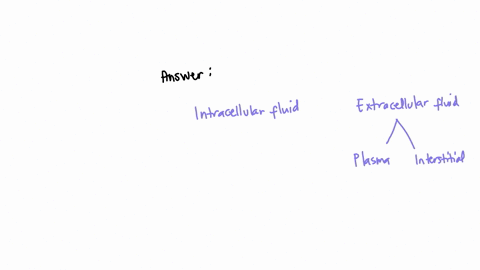question-17-not-yet-answered-marked-ost-of-100-fligquestion-what-is-the-smallest-fluid-compartment-a-intracellular-fluid-b-extracellular-fluid-c-plasma-d-interstitial-fluid