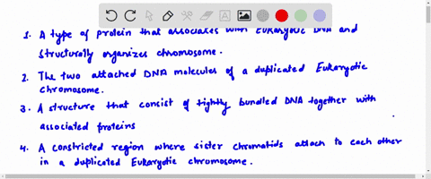 what-is-a-chromosome-a-a-type-of-protein-that-associates-with-eukaryotic-dna-and-structurally-organizes-chromosomes-b-the-two-attached-dna-molecules-of-a-duplicated-eukaryotic-chromosome-c-a-35637