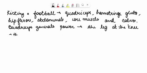 what-muscles-are-used-when-kicking-a-foot-ball-28864