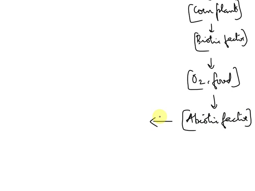Directions Show the connections of the given biotic and abiotic