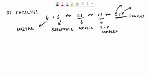 enzyme-activity-e-s-es-ep-e-pa-identify-what-each-letter-represents-and-describe-the-above-equation-in-wordsb-in-which-step-of-this-process-does-the-substrate-transiently-pass-through-a-tran-36602