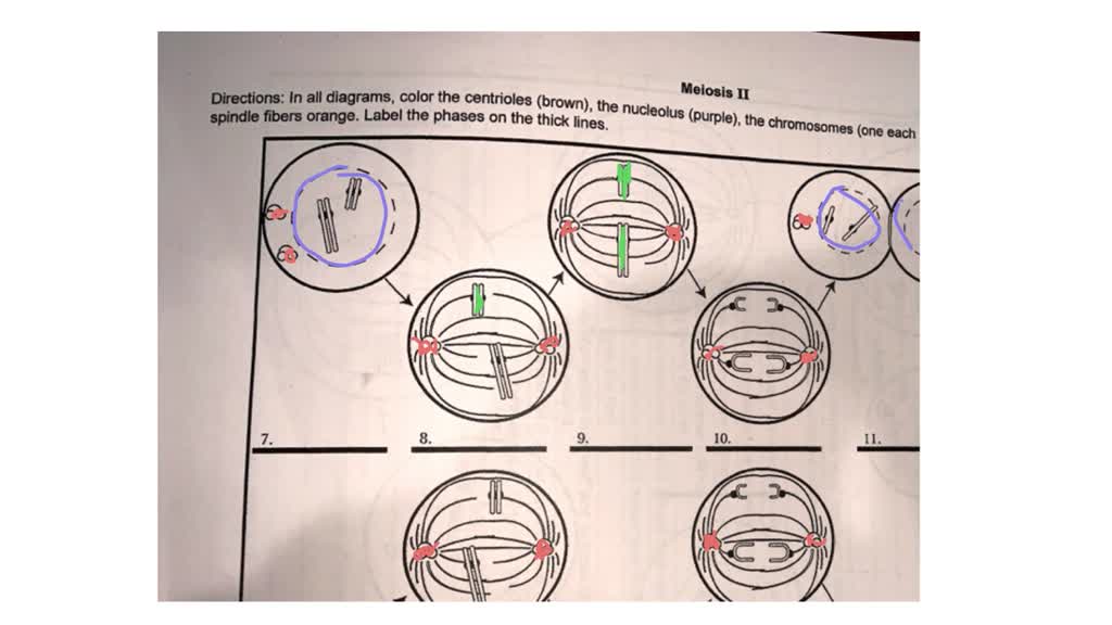 how to put together step2 car