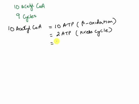 how-many-total-atp-can-be-made-from-20-carbon-fatty-acid-answer-the-question-below-and-show-your-calculations-the-table-belovr-how-many-acetyl-coa-are-produced-how-many-cycles-of-b-oxidation-52065