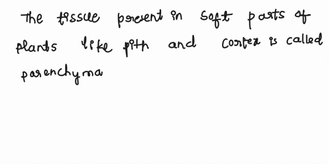 name-the-tissue-present-in-soft-parts-of-the-plants-like-pith-and-cortex-62082