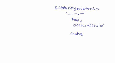 which-of-the-following-is-the-best-evidence-for-evolutionary-relationships-fossils-molecular-evidence-comparative-anatomical-evidence-embryological-evidence-00244