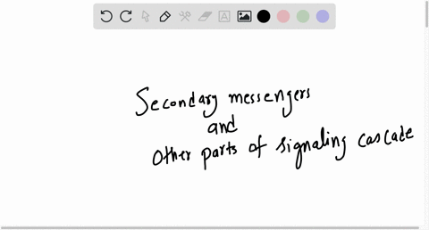 choose-all-that-apply-what-are-the-differences-between-secondary-messengers-and-other-parts-of-signaling-cascades-a-secondary-messengers-need-to-be-phosphorylated-b-secondary-messengers-are-63537