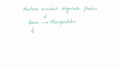 nuclear-encoded-organelle-proteins-are-transported-to-the-organelle-and-to-their-final-locations-based-on-what-05844