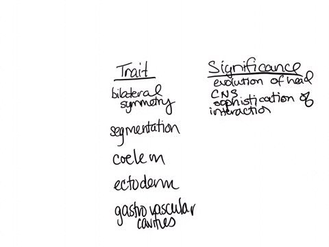 which-trait-allowed-for-evolutionary-innovations-in-body-form-a-bilateral-symmetry-b-segmentation-c-coelomate-evolution-d-ectoderm-development-e-gastrovascular-cavities-67493
