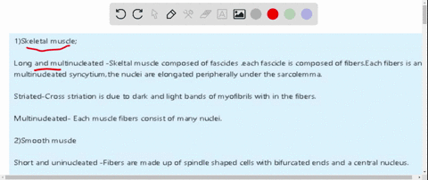 the-human-body-has-three-types-of-muscle-skeletal-cardiac-and-smooth-each-has-unique-properties-3-pts-match-the-property-according-to-the-type-of-muscle-describes-skeletal-muscle-cardiac-mus-47193