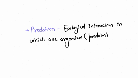 predation-question-1-options-a-is-different-than-competition-in-that-one-individual-is-generally-not-affected-b-can-lead-to-oscillations-in-the-populations-of-predators-and-prey-in-some-natural-system