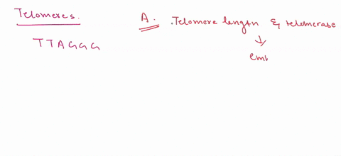 telommeres-are-sequences-at-the-ends-of-chromosomes-made-up-of-hundreds-to-thousands-of-copies-of-a-short-sequence-ttaggg-in-mammals-telomeres-are-synthesized-and-maintained-by-the-enzyme-te-27248