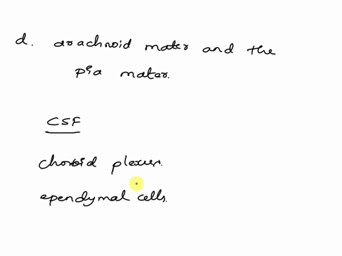 8-which-statement-about-the-cranial-meninges-is-true-a-the-subdural-space-is-between-the-dura-and-the-arachnoid-mater-bthe-arachnoid-mater-closely-follows-the-contours-of-the-cerebral-gyri-a-30352