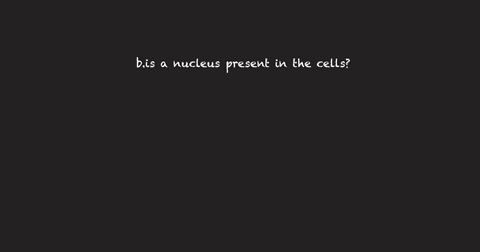using-blood-smear-describe-the-appearance-of-an-erythrocyte-what-is-the-basic-shape-of-the-cell-bis-a-nucleus-present-in-the-cells-what-are-immature-red-blood-cells-containing-filaments-that-64196