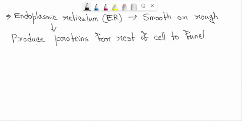 a-cell-with-a-predominance-of-rough-endoplasmic-reticulum-is-most-likely-________-a-cell-with-a-predominance-of-rough-endoplasmic-reticulum-is-most-likely-________-producing-large-quantities-31458
