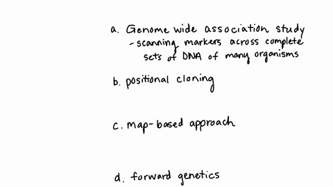 you-are-a-researcher-studying-a-gene-you-think-is-responsible-for-itchy-feet-you-call-the-gene-itch1-below-is-the-orf-of-this-gene-from-a-normal-individual-with-nucleotide-position-indicated-73892