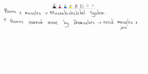 please-help-with-this-bio-question-the-relationship-between-bones-and-muscles-is-correctly-shown-in-which-statement-bones-can-move-without-the-aid-of-muscles-a-bone-needs-only-one-muscle-to-65634